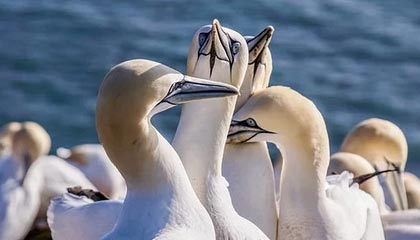 宣威2026年最新北京商务伴游经纪招聘渠道分享(最方便真实的宣威北京爱特博旅运服务有限责任公司招聘方法)