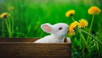 宣威2026年最新杭州高端商务伴游招聘网渠道分享(最方便真实的宣威茉莉伴游伴游天下全国联盟方法)